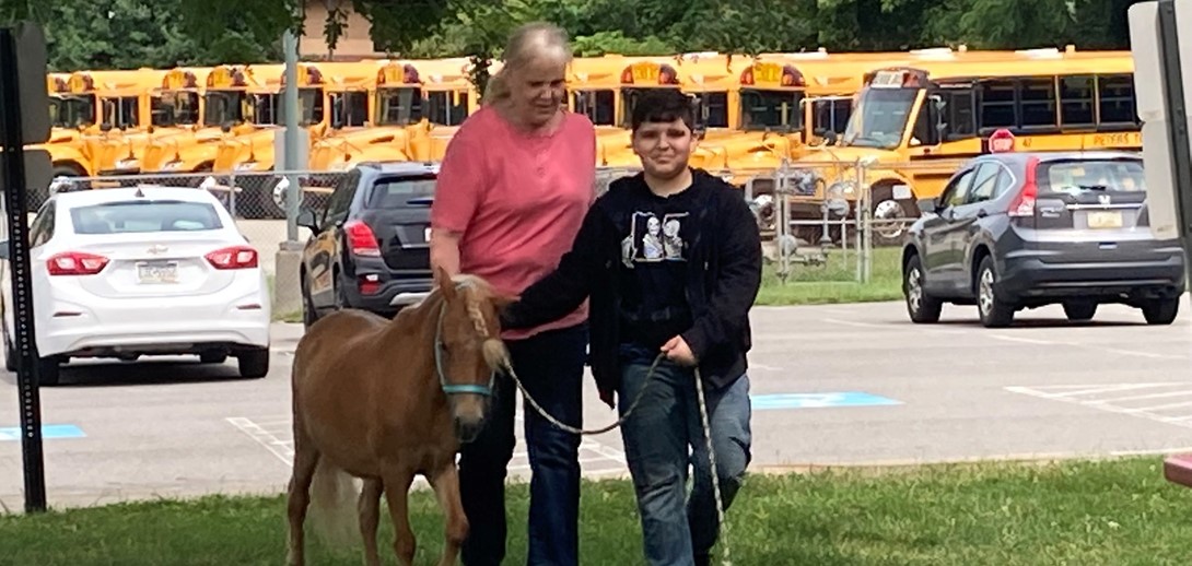 Student helps to guide the miniature horse.